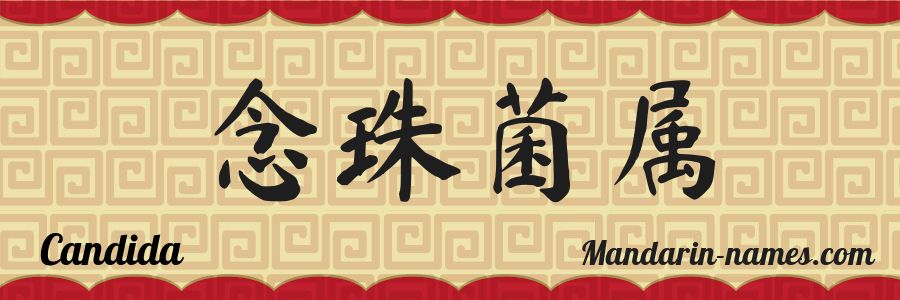 El nombre Candida en caracteres chinos