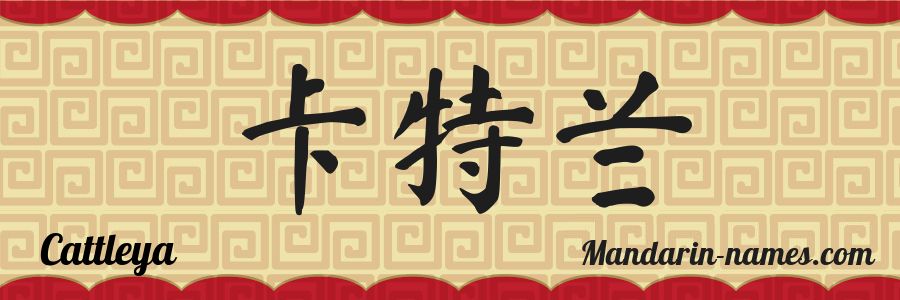 El nombre Cattleya en caracteres chinos
